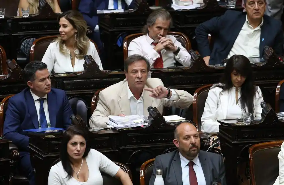 Dimes y diretes: facultades delegadas y privatizaciones