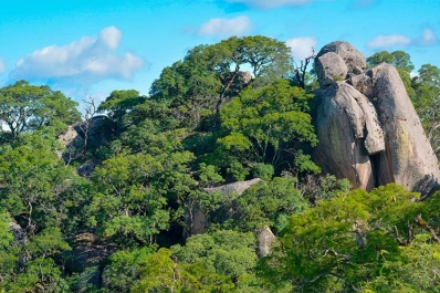 Huellas del pasado que contribuyen a  la gestión ambiental
