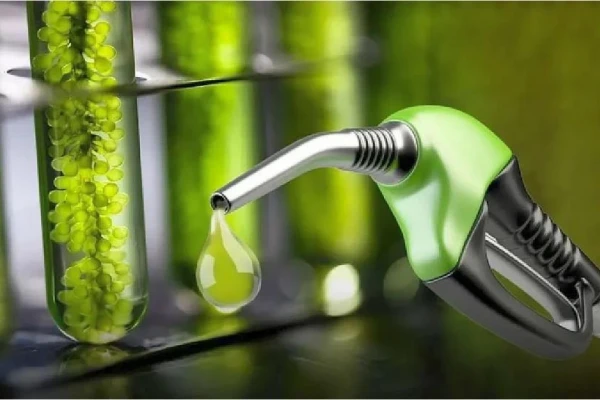 Libertad de mercado y defensa de las economías regionales