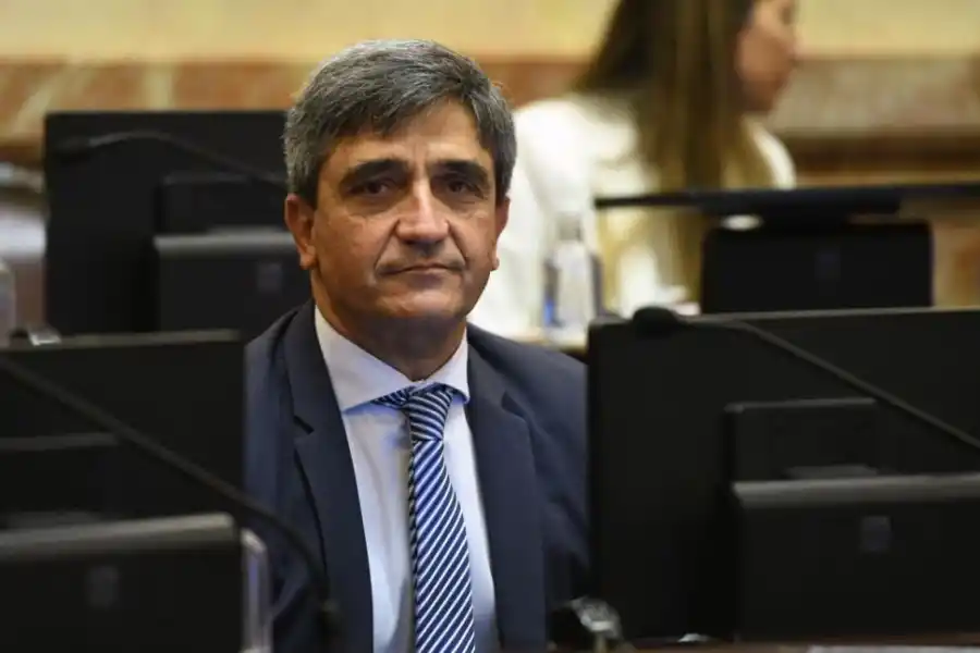 COMPLEJO. Yedlin (PJ) insiste en sus críticas al proyecto.