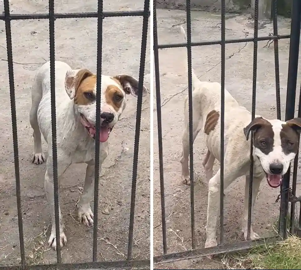 EL PRIMER DÍA. A la izquierda, León y a la derecha Nano el día en que los encontraron