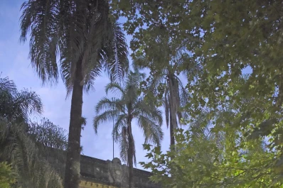 Cartas de lectores: Avatar y Colegio Nacional