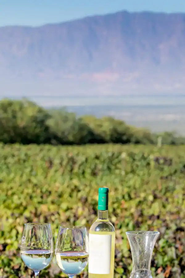 Salta, un alto destino para disfrutar estas vacaciones