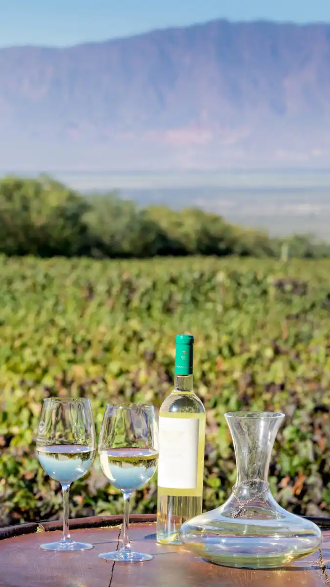 Salta, un alto destino para disfrutar estas vacaciones