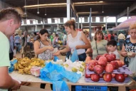 Economía familiar: la Municipalidad implementará el programa Tour al Mercofrut con traslado gratuito