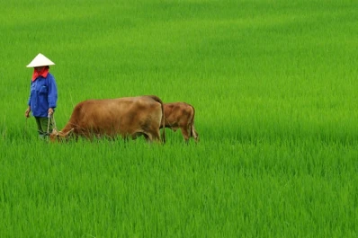 Asia Central, un mercado a explorar