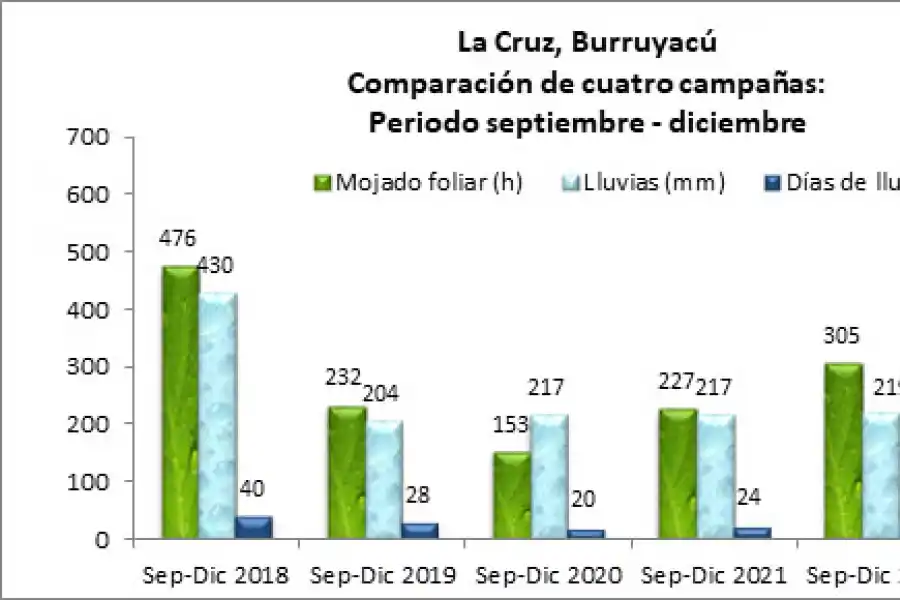El impacto de “El Niño”en las lluvias y en los frutos cítricos