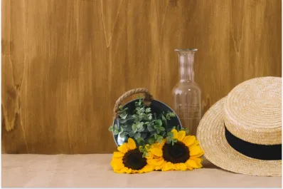 Jardinería para principiantes: cómo plantar girasoles en tu casa con solo unas semillas