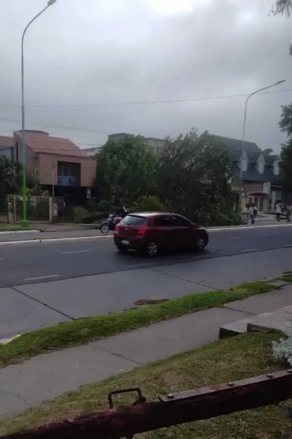 Mate de Luna al 4000.