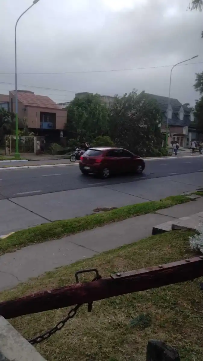 Mate de Luna al 4000.