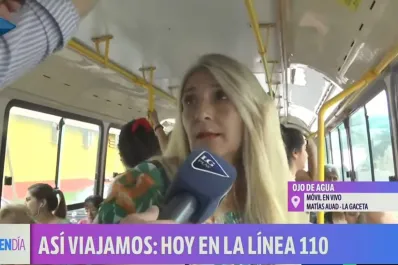 Viajar en colectivo en primera persona: las líneas no están preparadas para llevar a nadie