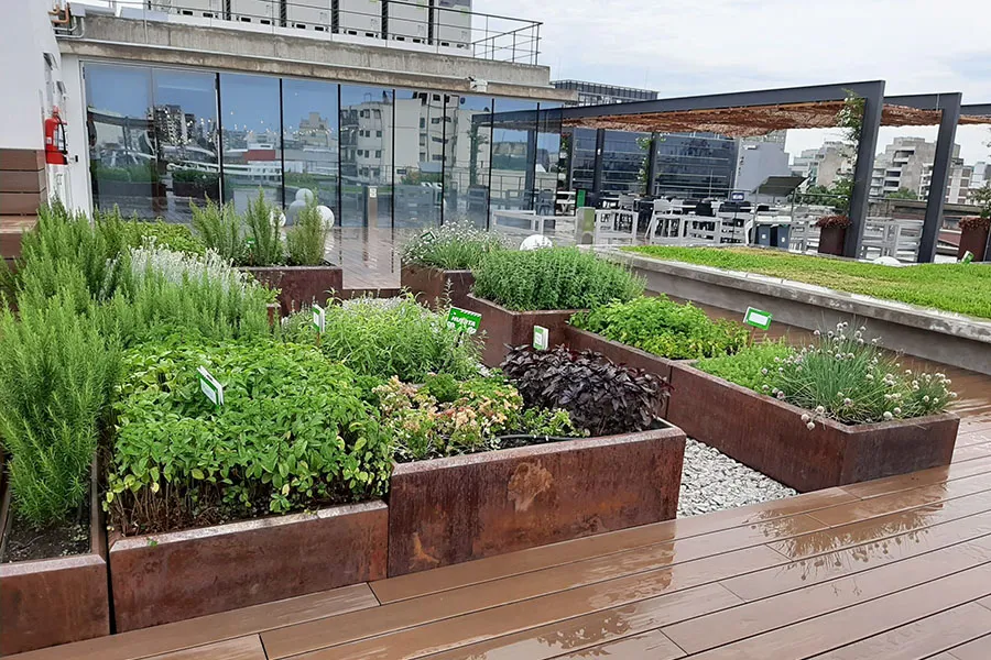 Desafiando al calor urbano: cuatro estrategias para refrescar la ciudad