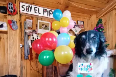 Encontró a su mejor amigo hace 14 años y se volvió viral por festejar su cumpleaños