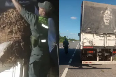 Aguilares: Gendarmería incautó 20 toneladas de tabaco