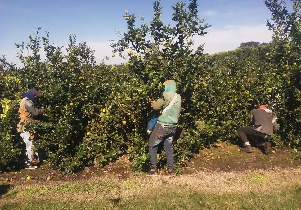 Un crimen incrementa el temor en zonas rurales