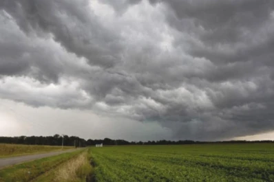 Más lluvia y menos calor trajeron buenas perspectivas