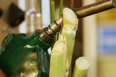 Ciclo del Ipaat: bioenergías, sostenibilidad ambiental y mercado del azúcar