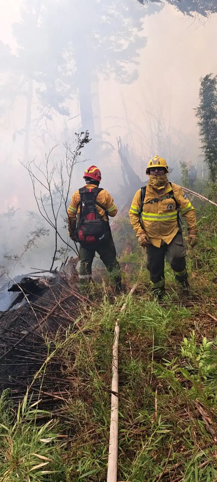 La tucumana que combate incendios en la Patagonia pero propone “amigarnos” con el fuego