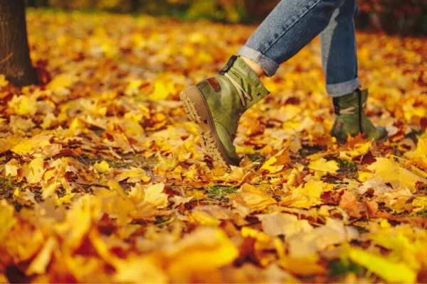 Otoño 2024: por qué se adelantará un día este año y cuándo comienza exactamente
