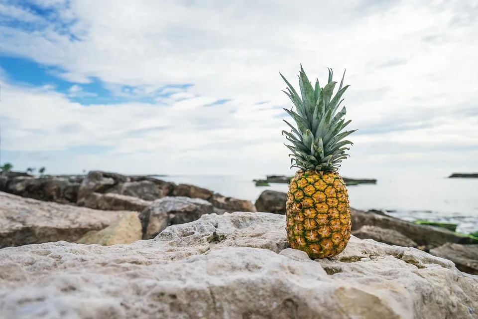LA FRUTA DEL VERANO. El ananá tiene miles de beneficios que pueden ayudarte a quemar grasas e incluso mejorar tu sistema inmunológico. 