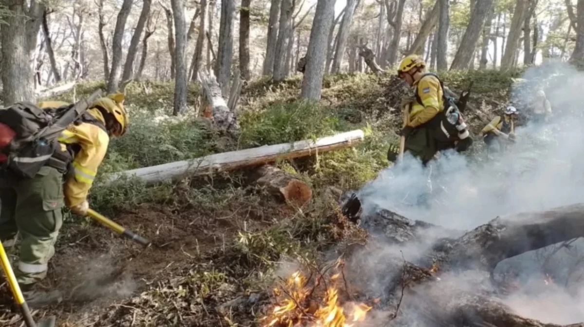 El incendio en el Parque Nacional Los Alerces está controlado.