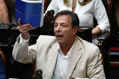 Zago, tras los dichos de Milei sobre el Congreso: No soy una rata, soy un hurón