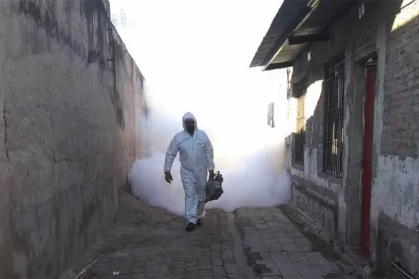 Mosquitos: todo lo que hay que saber y hacer para combatirlos