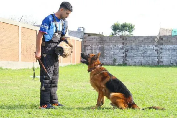 Seguridad: Tucumán refuerza las capacitaciones en las Divisiones de Canes y Caballería de la Policía