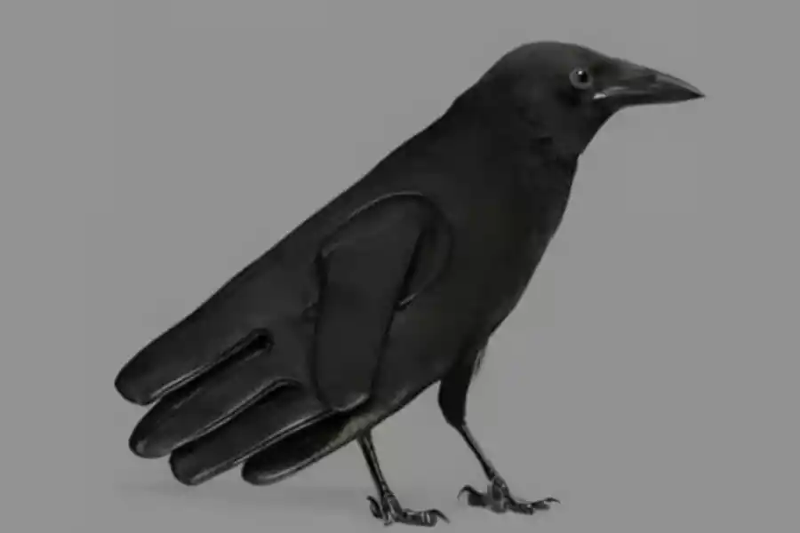 Test de personalidad: prestá atención a esta imagen y descubrí cuál es tu mayor virtud