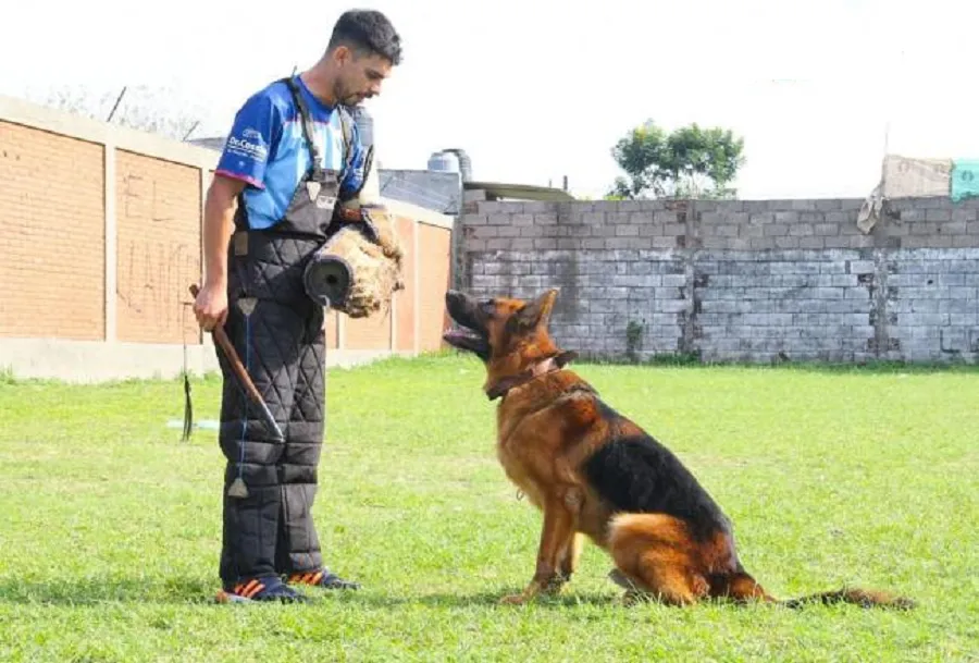 Seguridad: Tucumán refuerza las capacitaciones en las Divisiones de Canes y Caballería de la Policía