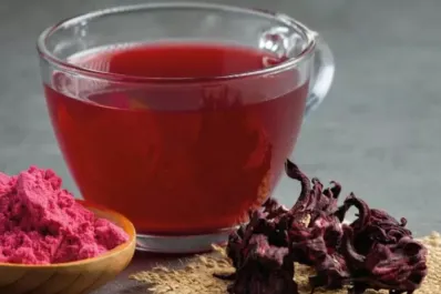 El té ideal para mayores de 50: relaja, ayuda a dormir mejor y desinflama la panza