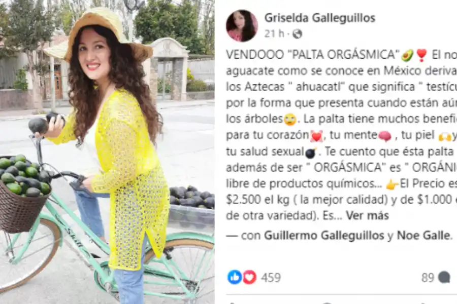 Diputada salteña vende paltas orgásmicas para fines solidarios