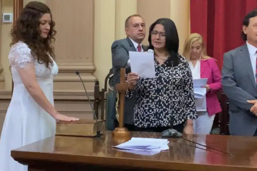 Diputada salteña vende paltas orgásmicas para fines solidarios