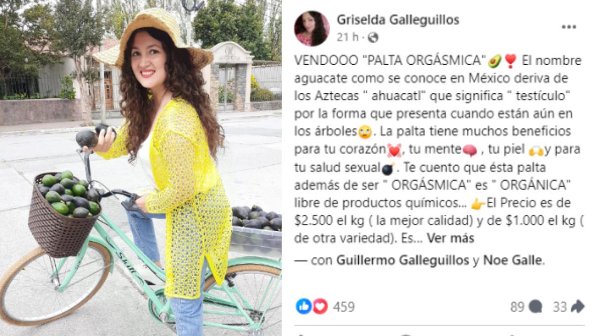 Diputada salteña vende paltas orgásmicas para fines solidarios