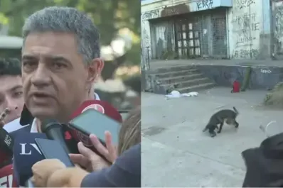 Insólito: apareció una rata en un entrevista de Jorge Macri y desató un escándalo