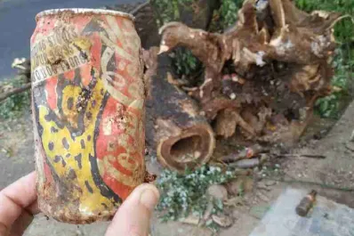 Encontraron una lata de 1995 dentro del tronco de un árbol