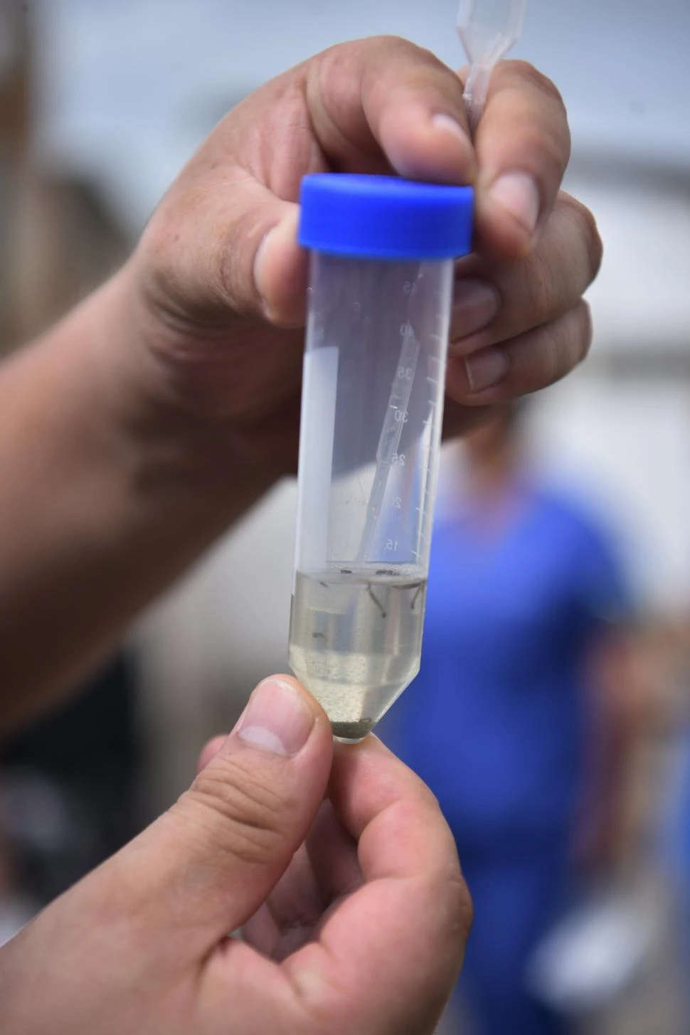 Epidemia en Tucumán: El dengue fue como un veneno; le causó la muerte muy rápido
