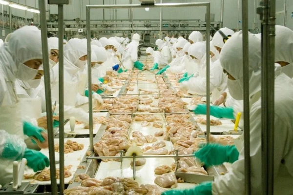 Se reabrió la exportación de carne de aves a Gran Bretaña