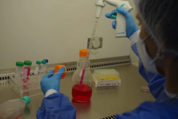 Alteraciones del metabolismo incidirían en el cáncer de mama