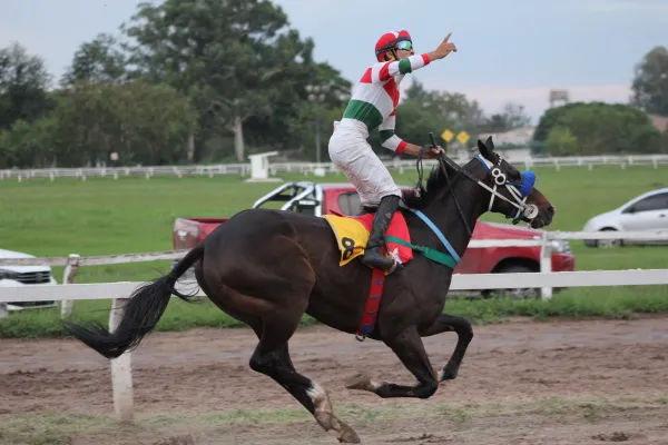 Bonus Eventus buscará dar el salto a los clásicos en el turf