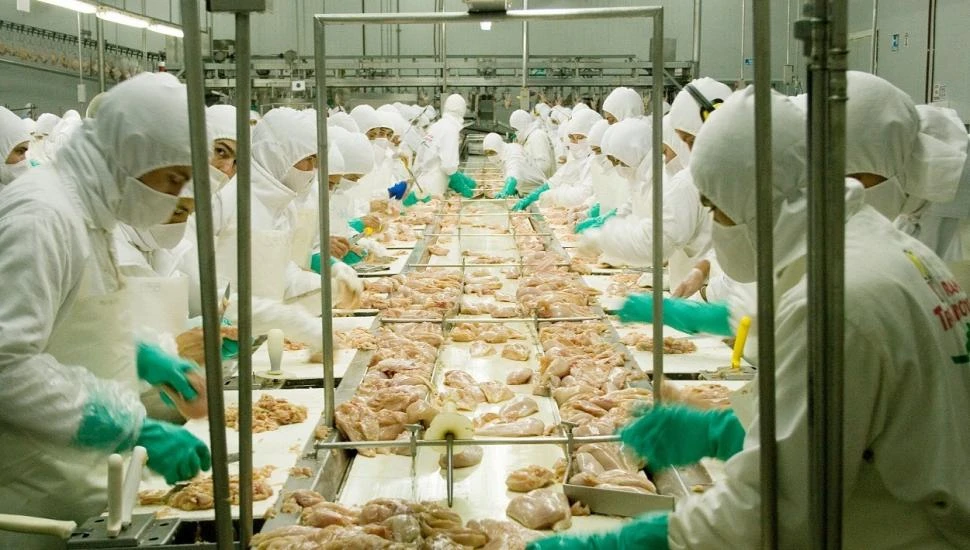 Se reabrió la exportación de carne de aves a Gran Bretaña