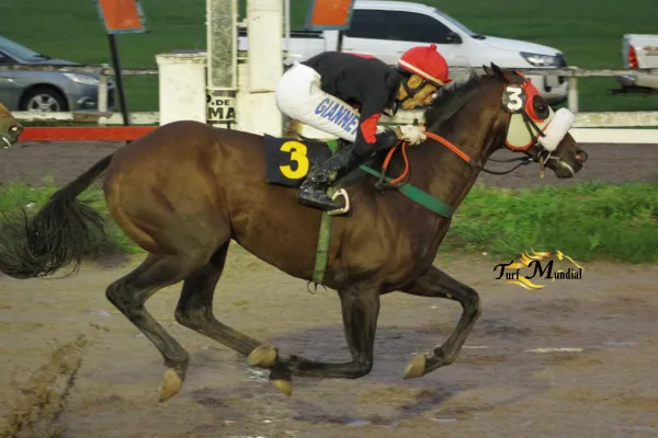 Zapatazo volvió con todo en la prueba central del turf