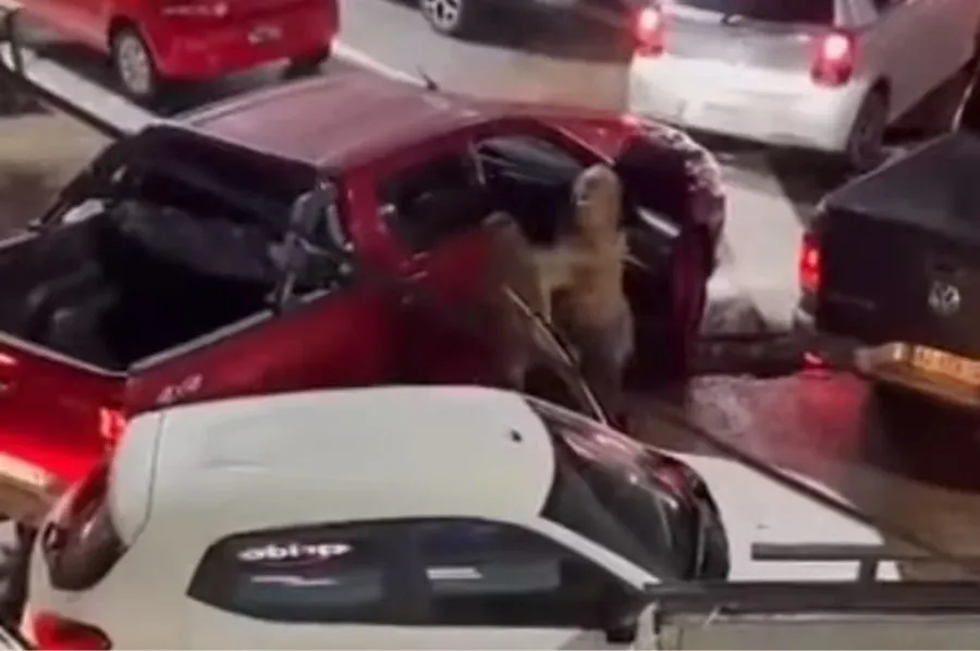 Dos mujeres se agarraron a las piñas en la fila para cargar nafta