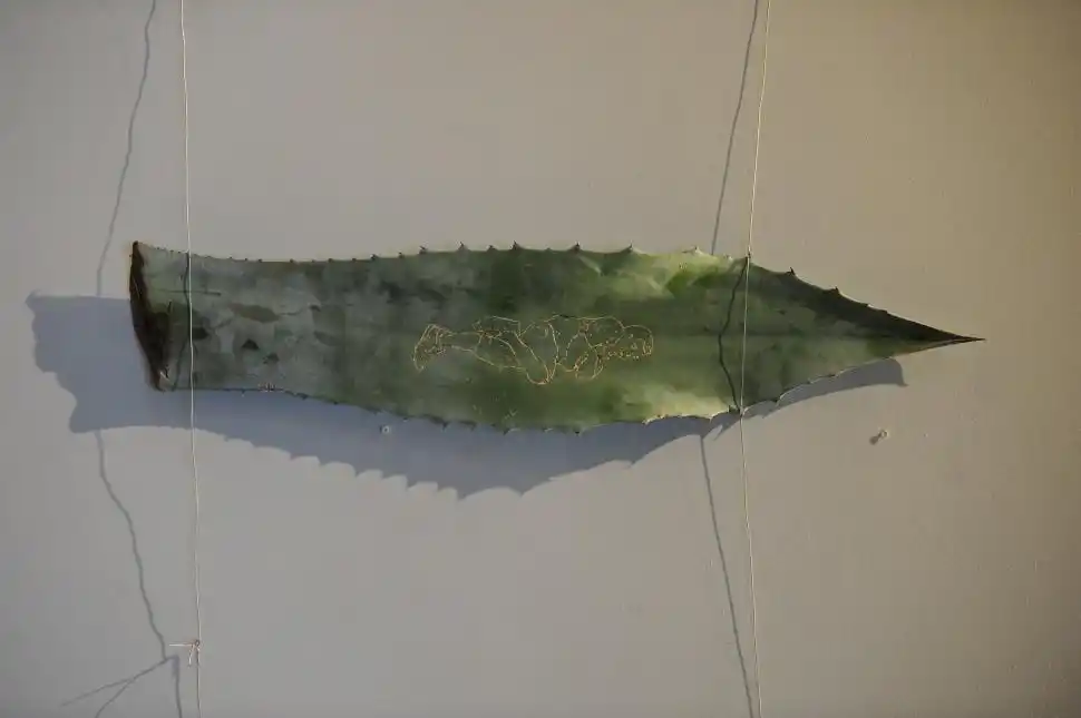 El espíritu de los valles bajó hecho arte