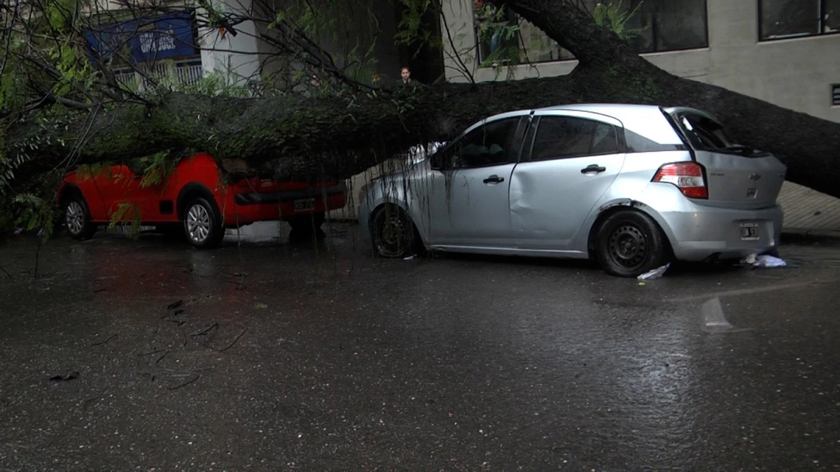 DOBLE ACCIDENTE. Dos autos sin pasajeros recibieron el impacto de un árbol de gran porte que fue derribado por las lluvias en calle Marcos Paz.