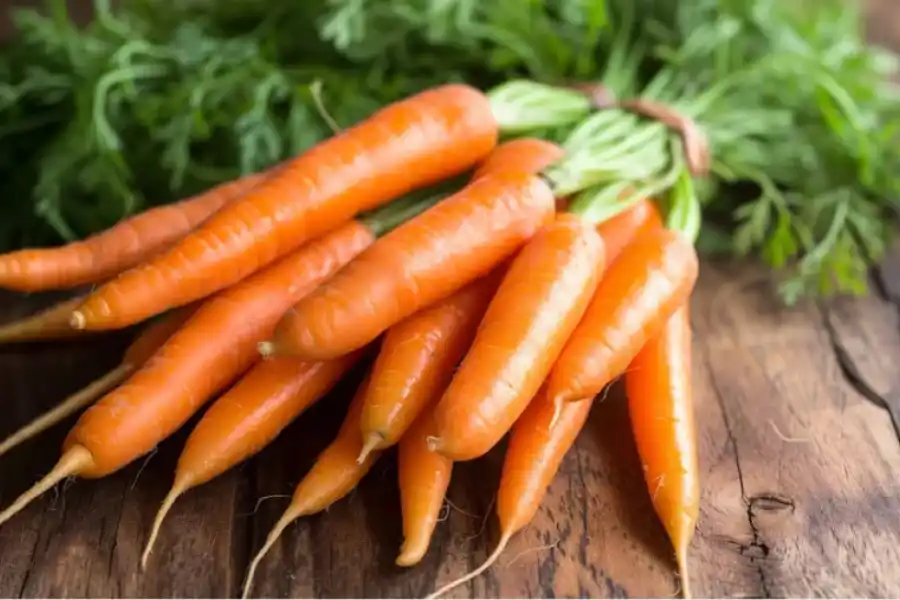 Zanahoria mostrando su frescura y color vibrante 