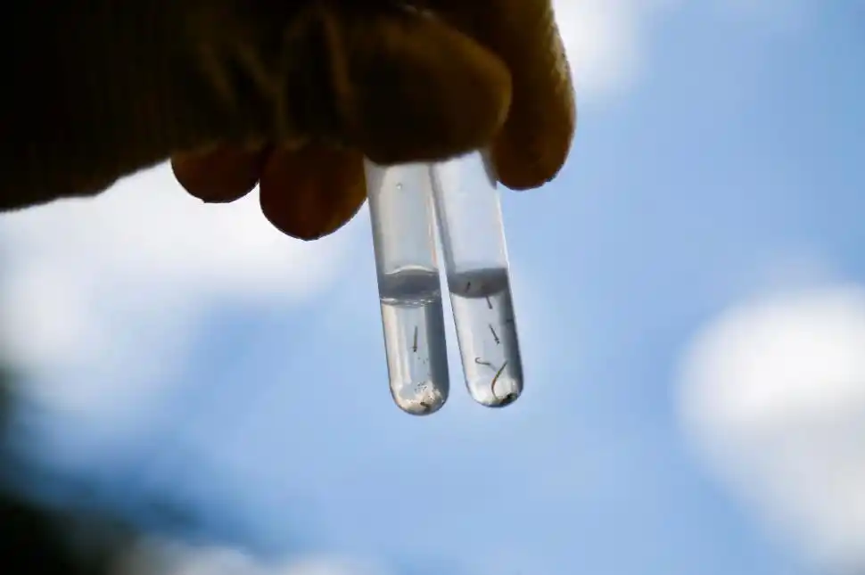 En Tucumán se alcanzaron los 4.776 casos de dengue