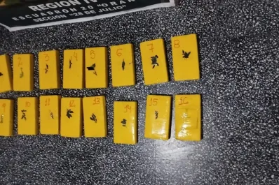 Abandonaron 17 kilos de cocaína en la margen de un río