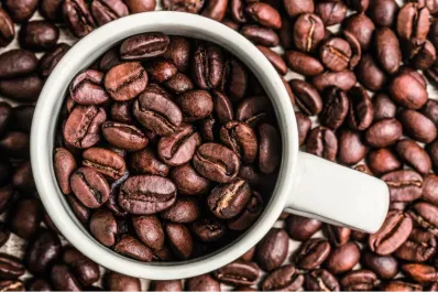 ¿Cómo la cafeína aumenta la capacidad de nuestra memoria?