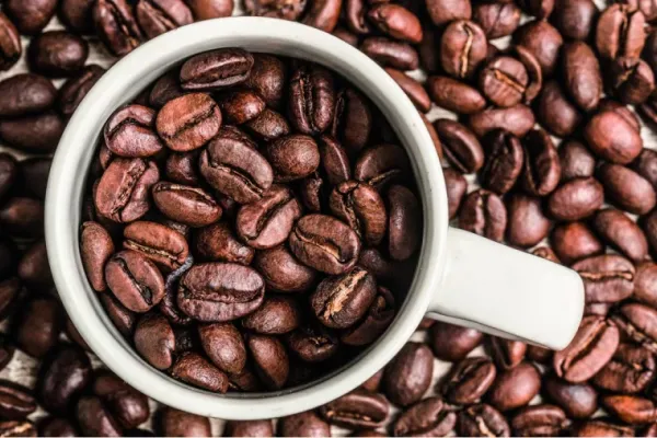 ¿Cómo la cafeína aumenta la capacidad de nuestra memoria?
